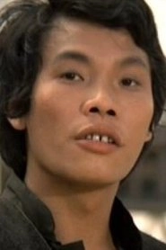 Ảnh diễn viên 王青