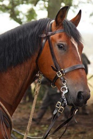 Ảnh diễn viên Finder's Key