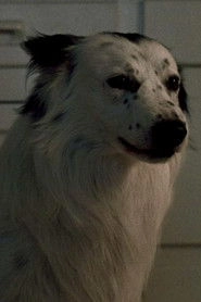 Ảnh diễn viên Jake