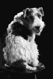 Ảnh diễn viên Skippy