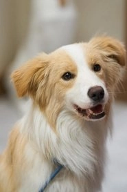 Ảnh diễn viên Ta Ta