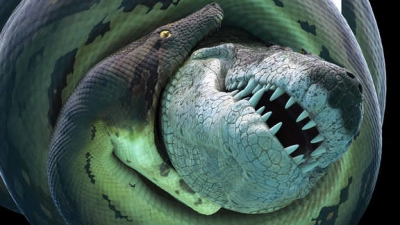 Bí Ẩn Quái Vật Khổng Lồ Titanoboa (Titanoboa: Monster Snake)