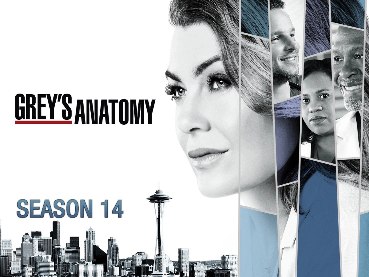Ca Phẫu Thuật Của Grey (Phần 14) (Grey's Anatomy (Season 14))