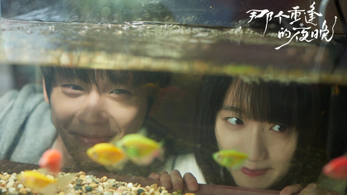 Đêm Đoàn Tụ Ấy (We Shall Meet Again)