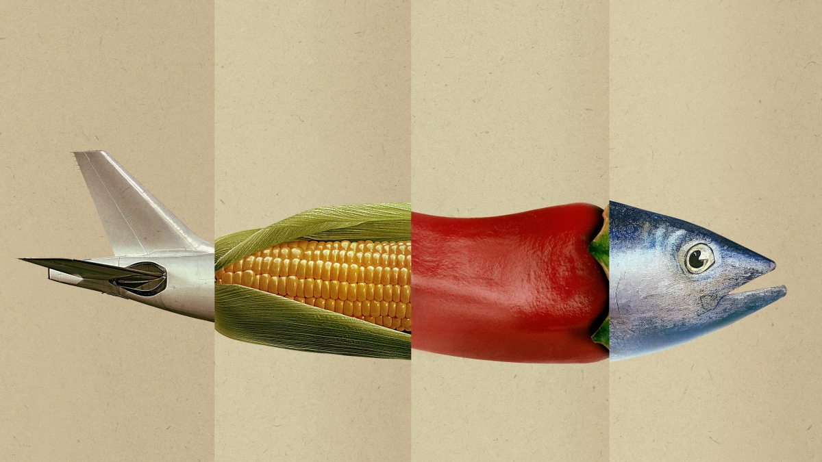 Động Vật Ăn Tạp - Omnivore (Omnivore)