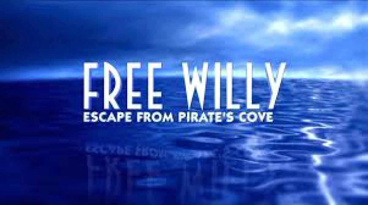 Giải Cứu Willy: Thoát Khỏi Vịnh Hải Tặc (Free Willy: Escape from Pirate's Cove)