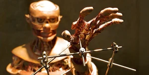 Giải phẫu (Anatomy)