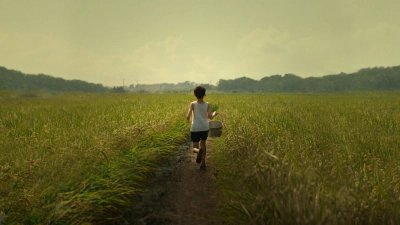 Hổ Vĩ (Tigertail)