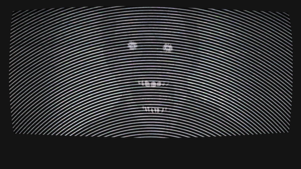 Ito Junji: Những câu chuyện rùng rợn từ Nhật Bản (Junji Ito Maniac: Japanese Tales of the Macabre)