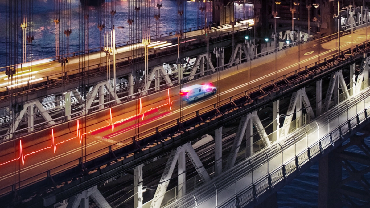 Khẩn cấp: New York (Emergency: NYC)