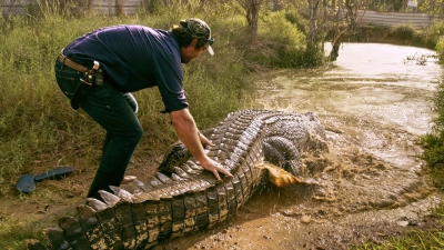 Lãnh địa cá sấu hoang (Wild Croc Territory)