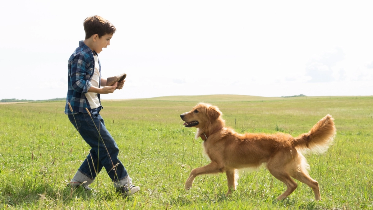 Mục Đích Sống Của Một Chú Chó (A Dog's Purpose)