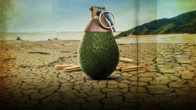 Mục ruỗng (Phần 2) (Rotten (Season 2))