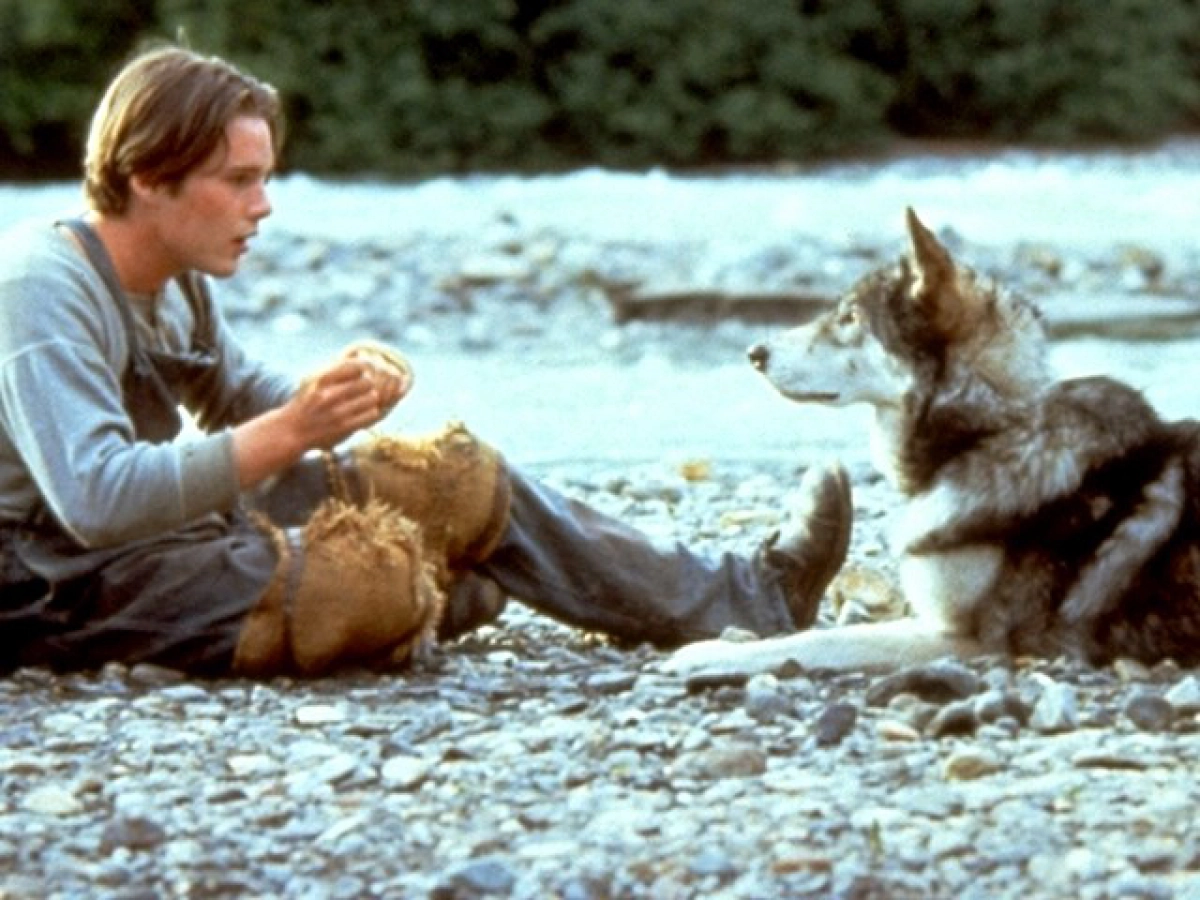 Nanh Trắng (White Fang)