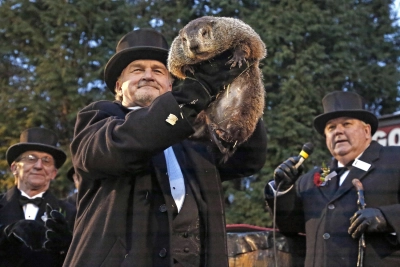 Ngày Chuột Chũi (Groundhog Day)