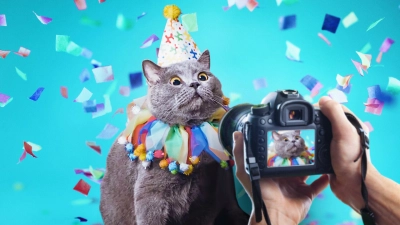 Ngôi sao thú cưng (Pet Stars)