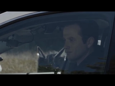 Người Chó 2: Sự Nổi Giận Của Đàn Con (Dogman 2)