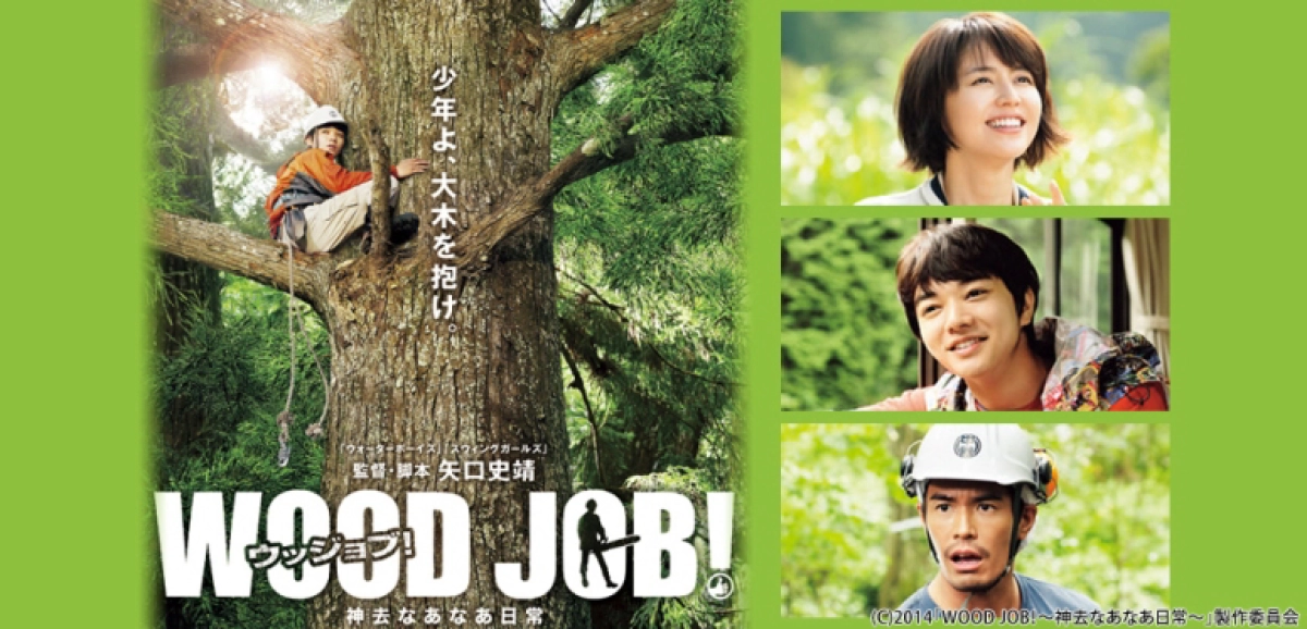 Người thợ rừng và cơn mưa (The Woodsman and the Rain)