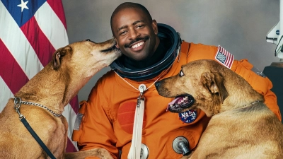 Những chú chó (Phần 2) (Dogs (Season 2) )