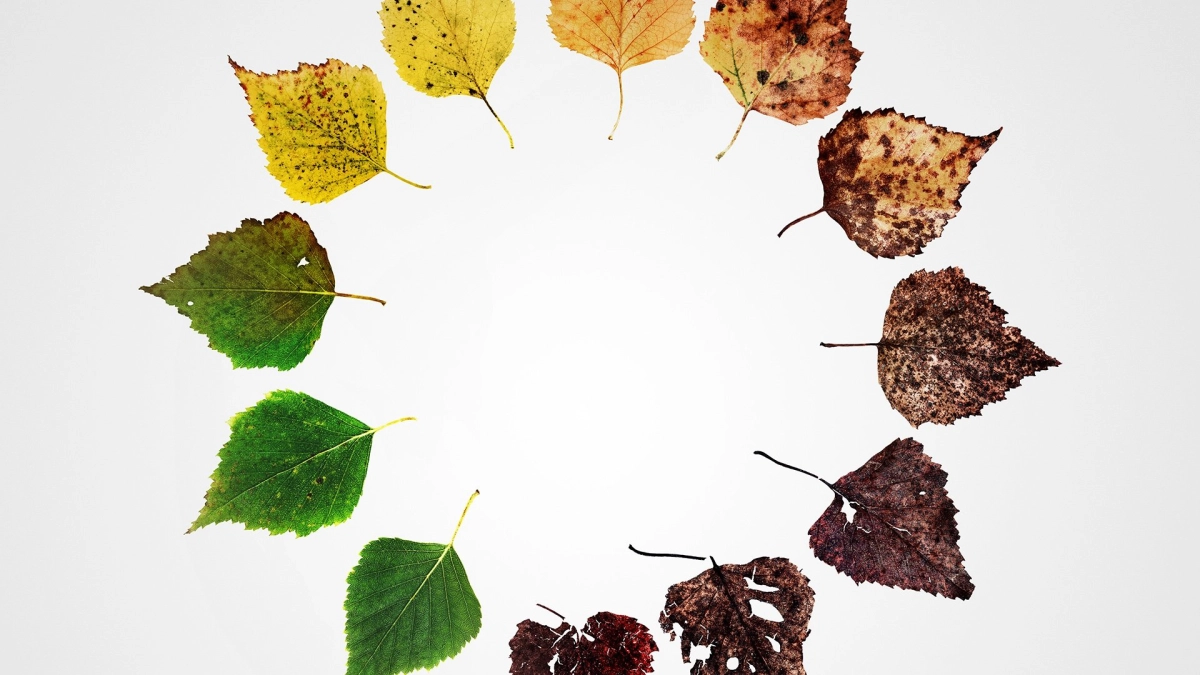 Những Kết Thúc Khác: Sáu Cách Mới Để Chết Ở Mỹ (Alternate Endings: Six New Ways to Die in America)