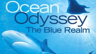Ocean Odyssey: The Blue Realm (Ocean Odyssey: The Blue Realm)