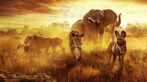 Sinh tồn nơi thiên đường: Câu chuyện gia đình động vật (Surviving Paradise: A Family Tale)