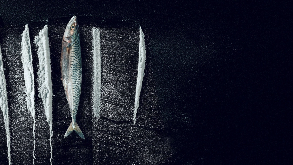 Sống Triều Đổi Vận: Câu Chuyện Siêu  Thực Tế Rabo de Peixe (Turn of the Tide: The Surreal Story of Rabo de Peixe)