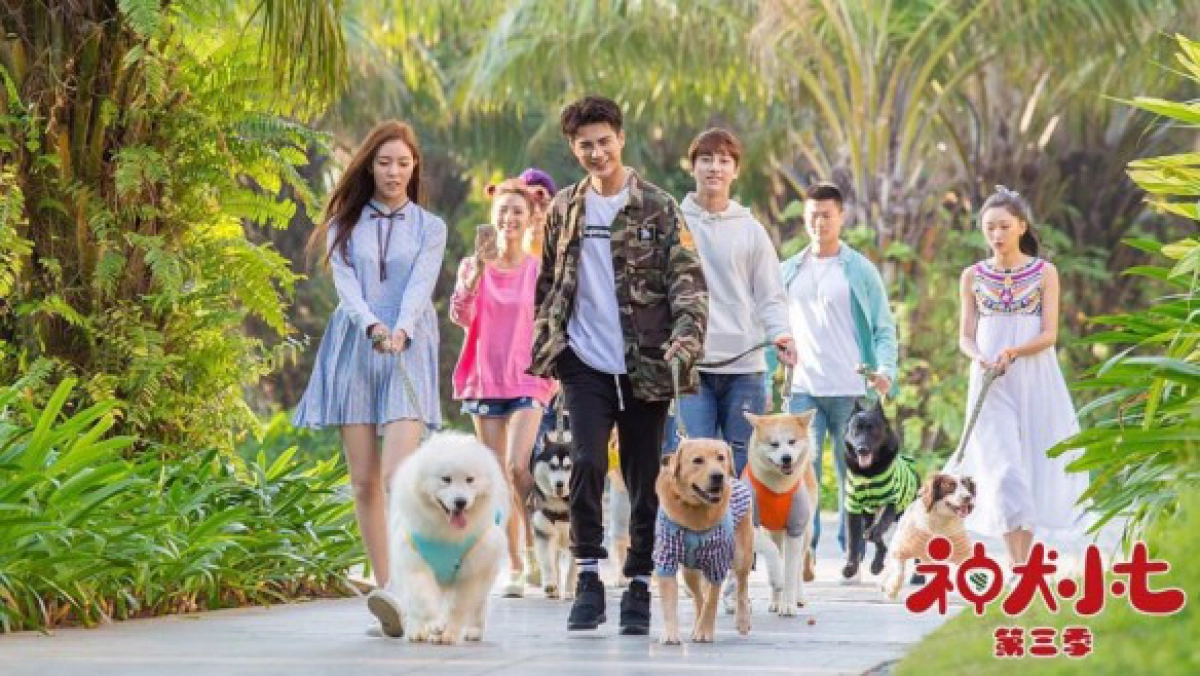 Thần Khuyển Tiểu Thất 3 (Hero Dog (Season 3))