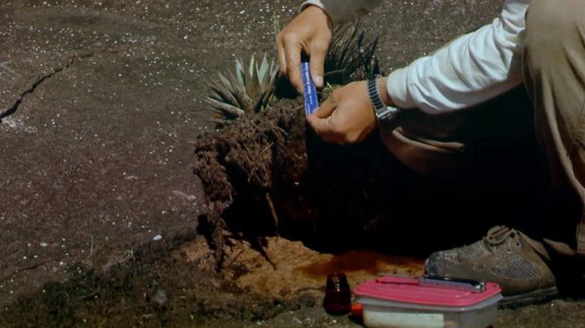 Thế Giới Đã Mất (Lost Worlds: Life in the Balance)