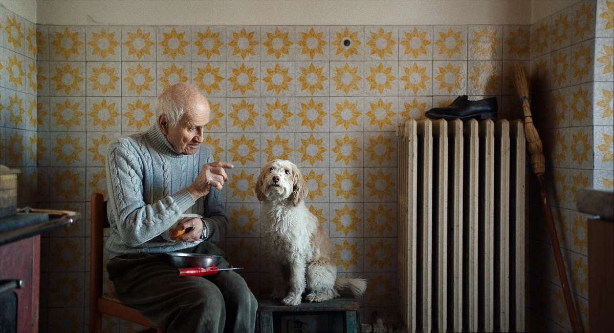 The Truffle Hunters (The Truffle Hunters)