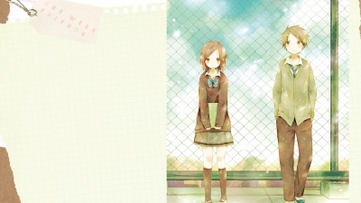 Tình bạn một tuần (一週間フレンズ。)