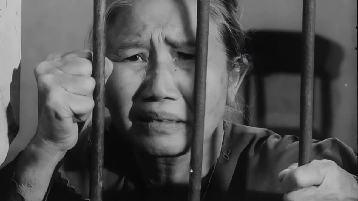 Tướng Về Hưu (The General Retires)