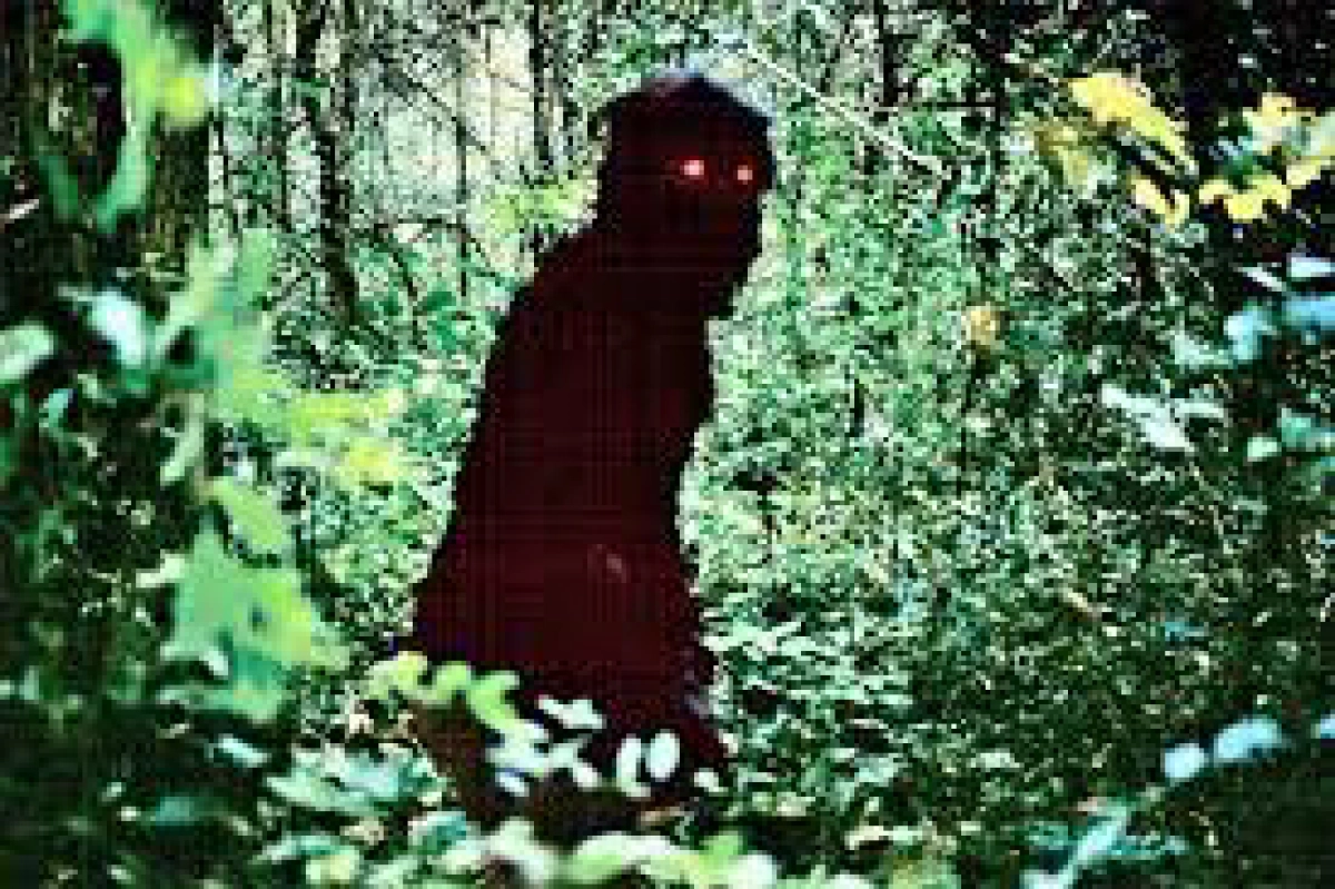 Uncle Boonmee Who Can Recall His Past Lives (Uncle Boonmee Who Can Recall His Past Lives)