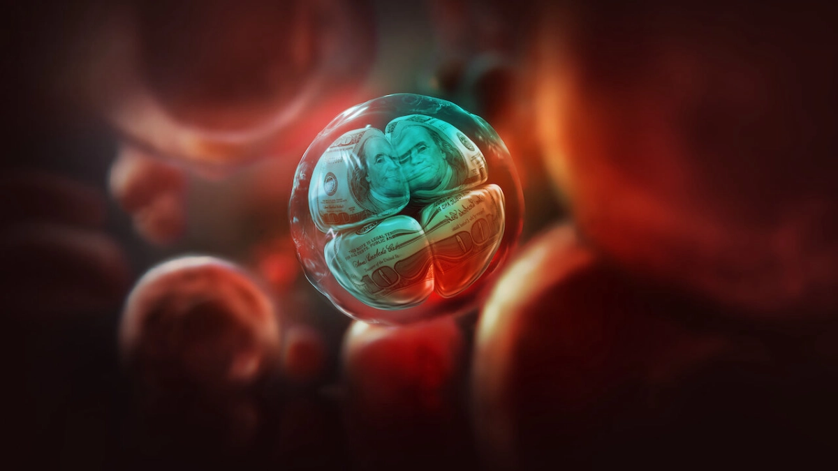 Vua nhân bản (King of Clones)